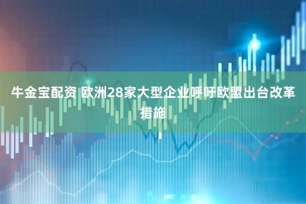牛金宝配资 欧洲28家大型企业呼吁欧盟出台改革措施